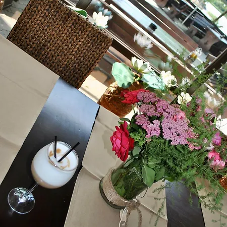 Гостевой дом Delta Marina Сфынту-Георге