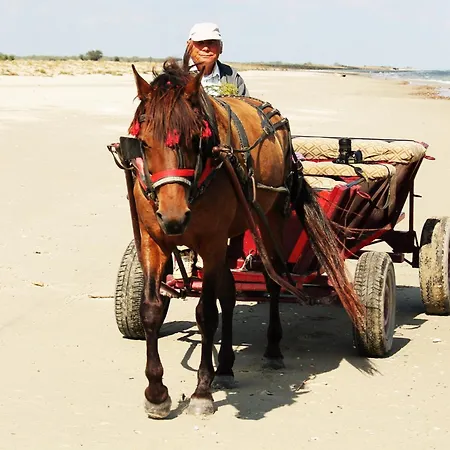 Delta Marina Konukevi 3*