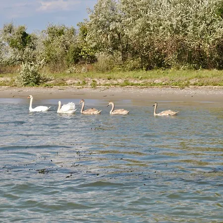 Delta Marina Konukevi Sfântu Gheorghe
