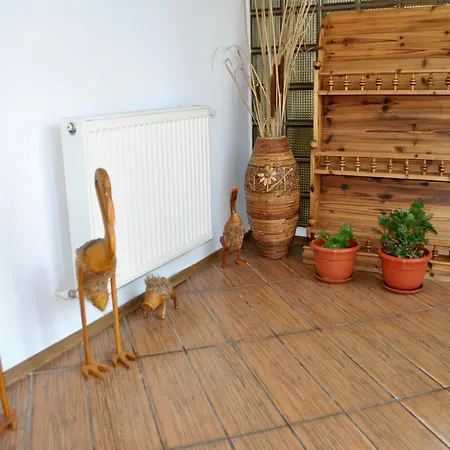 Delta Marina Sfântu Gheorghe